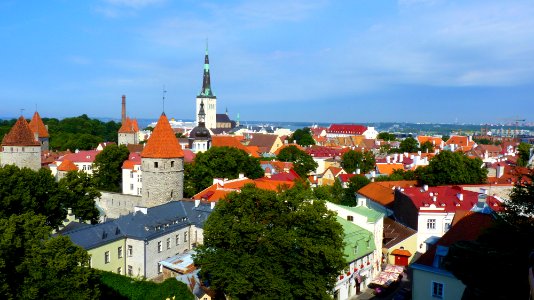 Tallin (19)