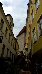 Tallin (11)