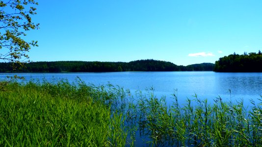 Lac Pühajärv 6