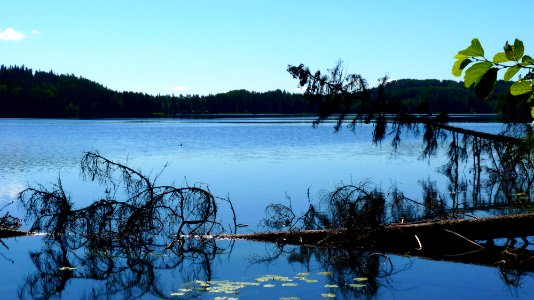 Lac Pühajärv 2