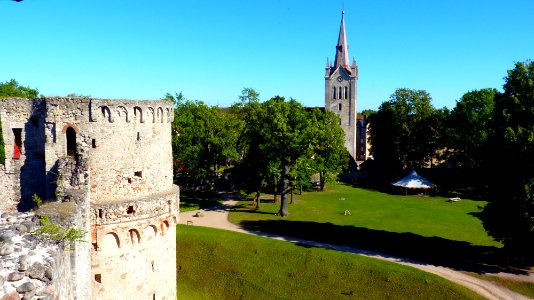 Cesis 8