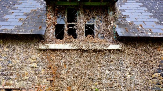 Les forges de Paimpont (3)