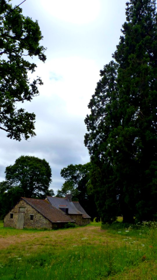 Les forges de Paimpont (1)