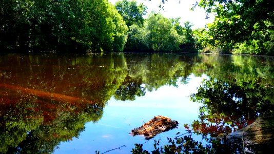 Le val sans retour (11)