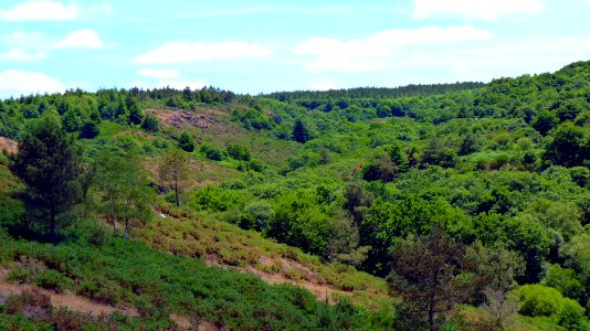 Le val sans retour (8)