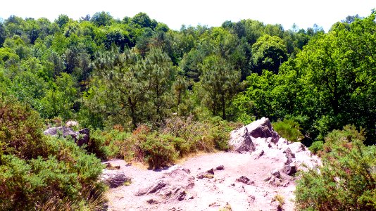 Le val sans retour (6)