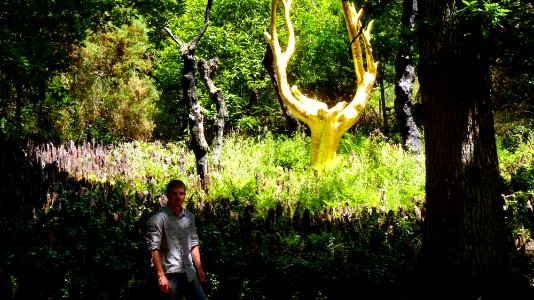 Le val sans retour (1)