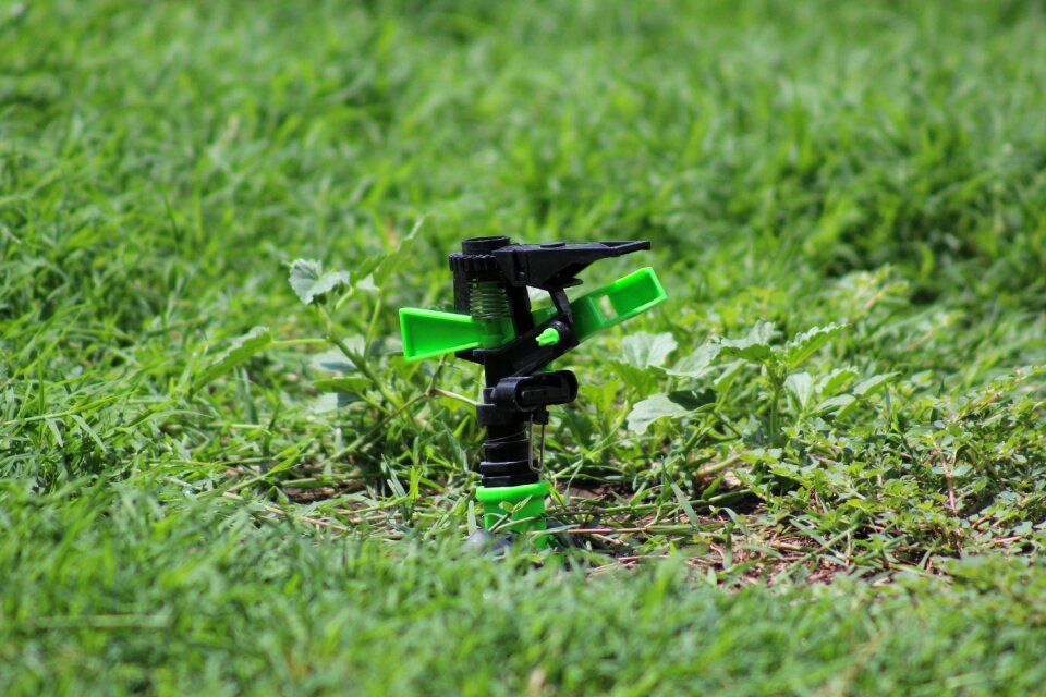 Growth nature sprinkler