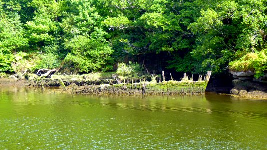 Pont aven (1)