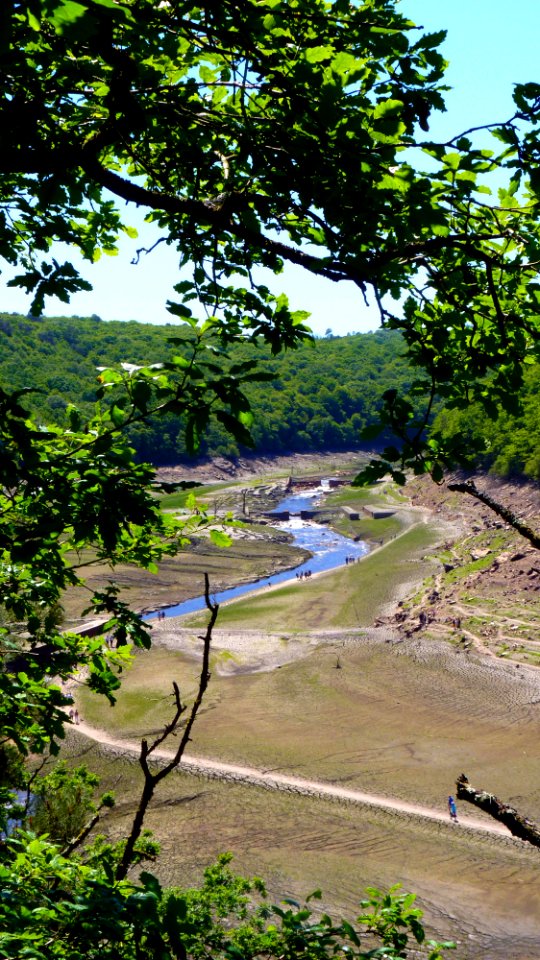 P1070961