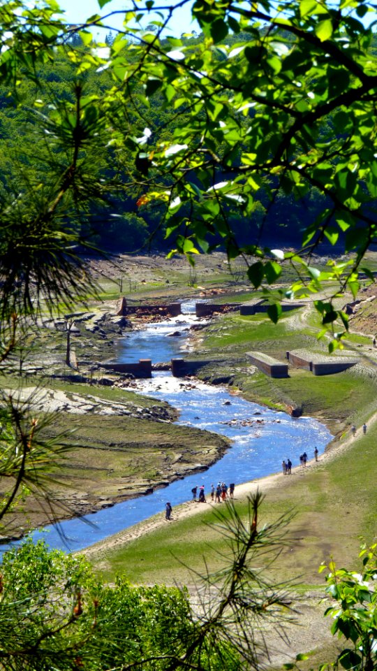 P1070960