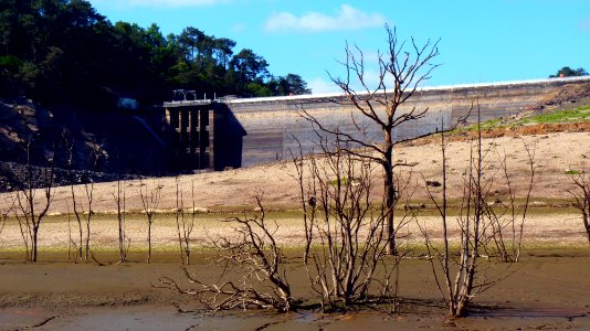 P1070809