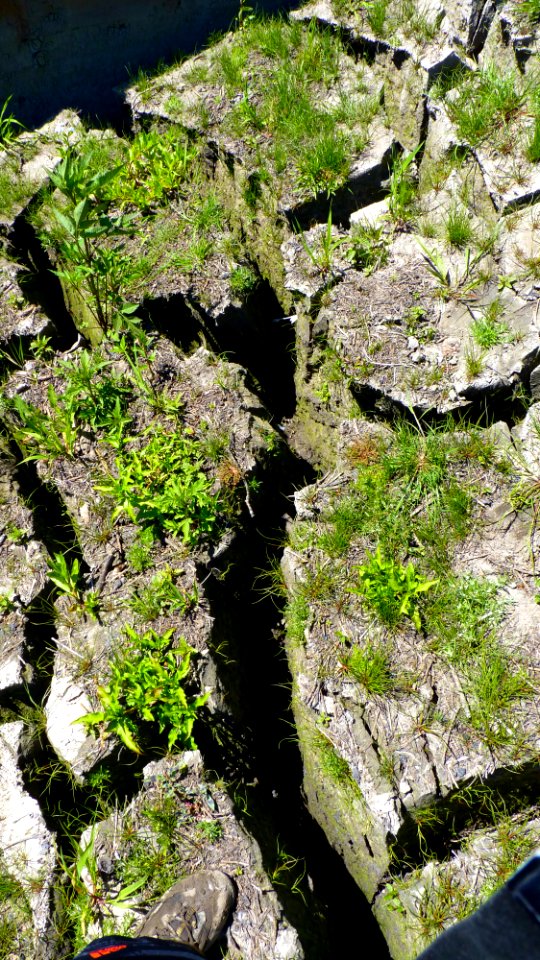 P1070935