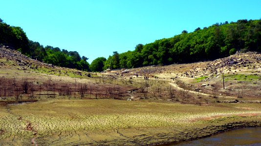 P1070900