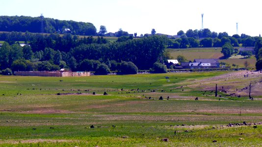 P1070839