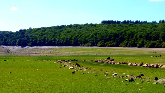 P1070831