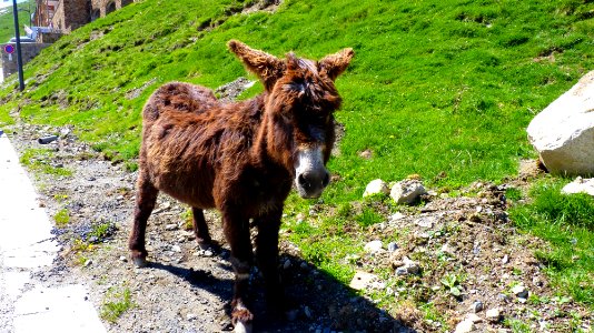 Col du Tourmalet (1)