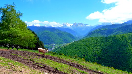 Col d'Aspin (5)