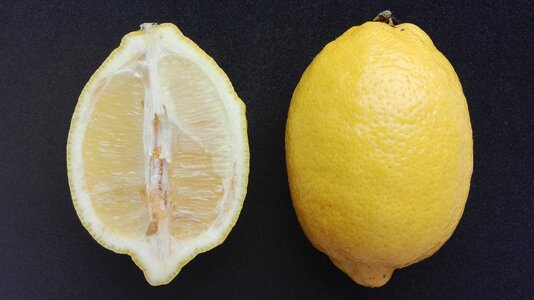 Citrus lemon fruit photo