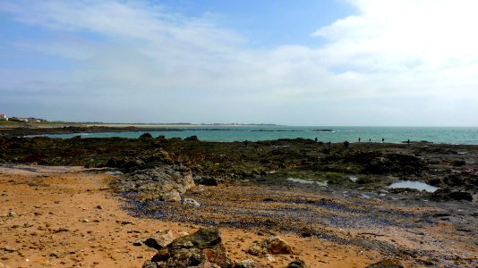Noirmoutier (8)