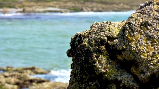 Noirmoutier (9)