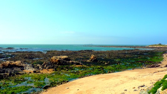 Noirmoutier (6)