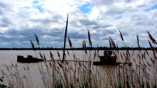 Estuaire de la Gironde (4)