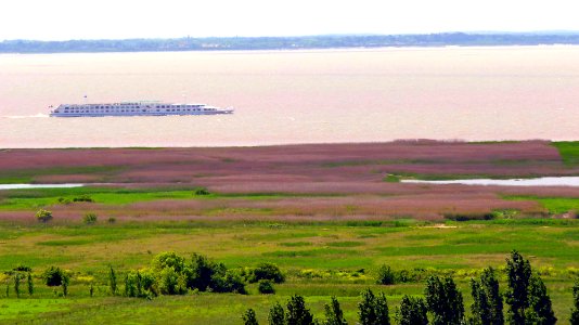 Estuaire de la Gironde (2)