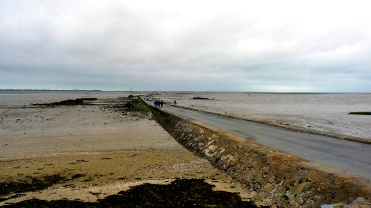 Noirmoutier (1)