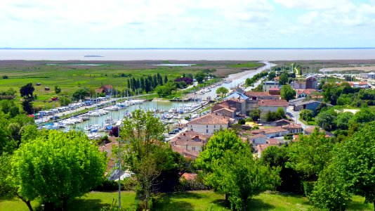 Estuaire de la Gironde (1)