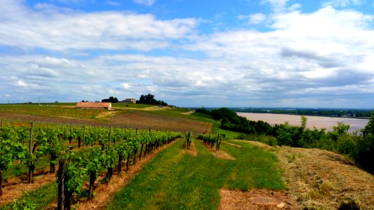 Corniche de la gironde (1)