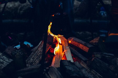 Wood logs camping