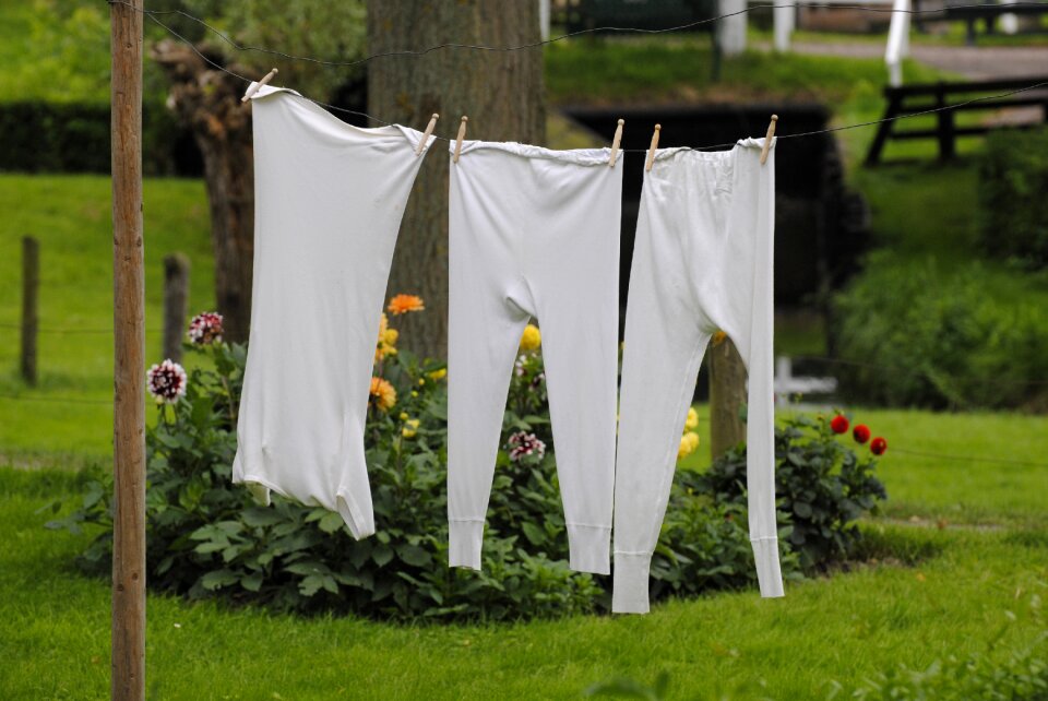 Nature clothesline laundry