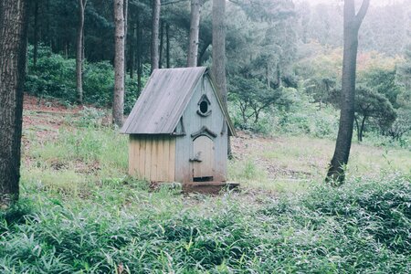 Landscape scenery house