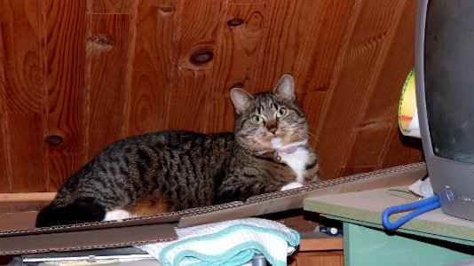 Rustine 05-01-2013 (1)