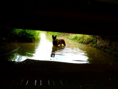 Penja sous le pont