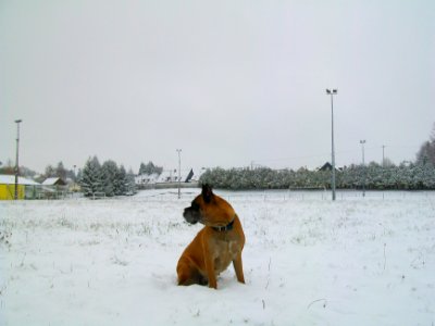 Penja sous la neige