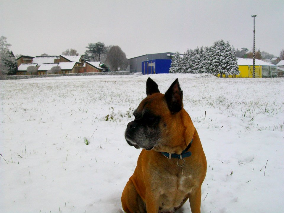 Penja sous la neige 2