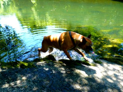 Penja dans la Sélune