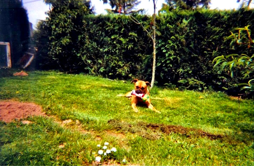 Narcisse et son jouet été 2000