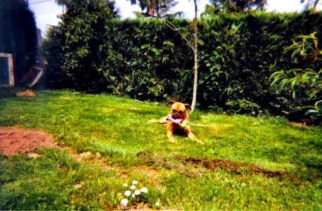 Narcisse et son jouet été 2000