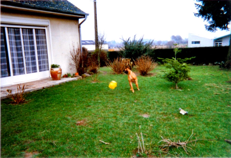 Narcisse joue avec sa tortue 1999