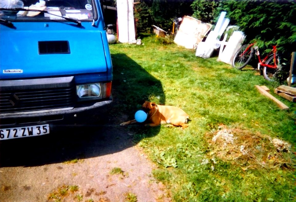 Narcisse et ballon 2004