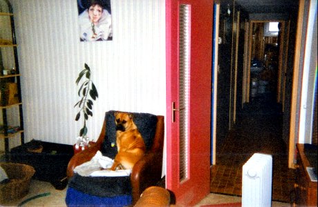 Narcisse dans le fauteuil