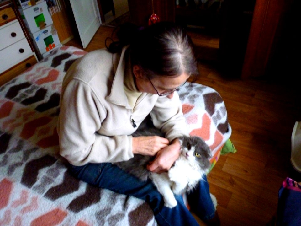 Minette indigne (1)