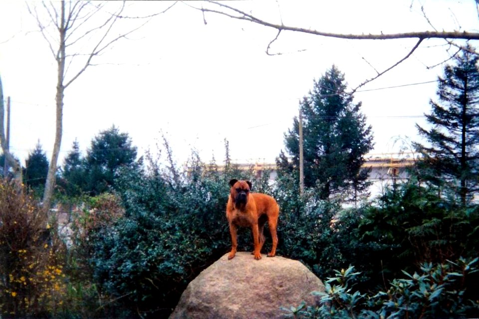 Kaya sur rocher 1999