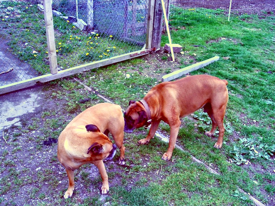 Kaya et narcisse 2