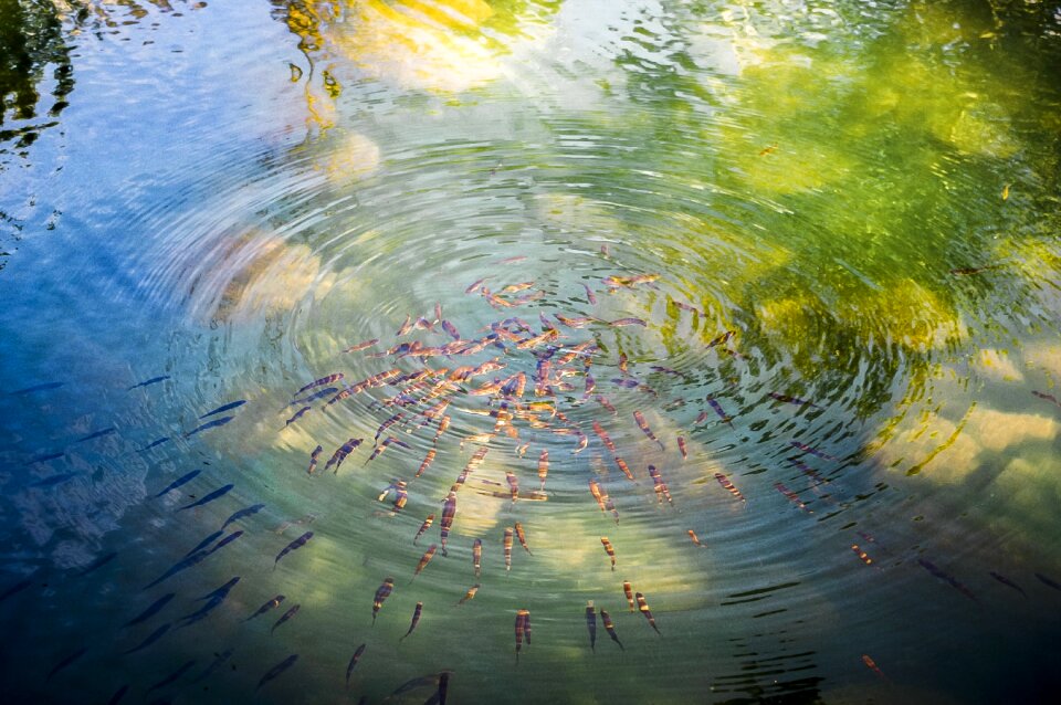Reflection art bright