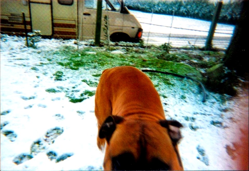 Kaya sous la neige février 2001