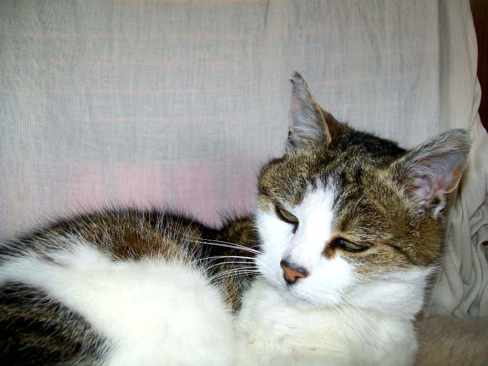 Isidore 5